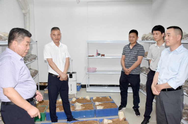多乐游戏斗牛:2026年中型板式给料机行业深度评估：技术迭代加速优选服务商格局分析